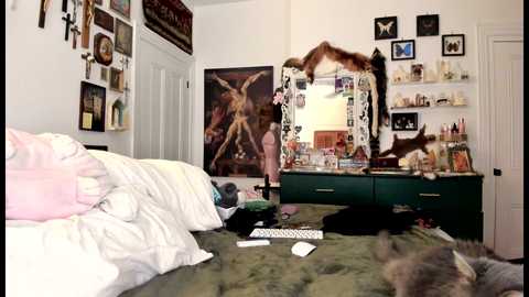 eve003300 @ chaturbate on 20260220