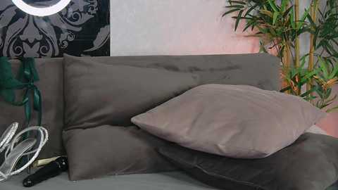 kaceykayx @ chaturbate on 20260220