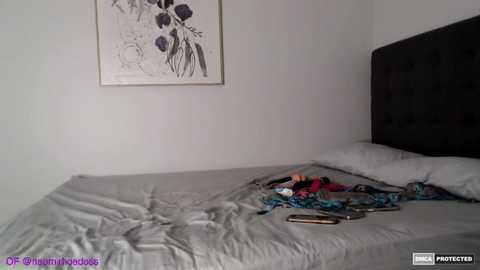 naomirhoades @ chaturbate on 20260220