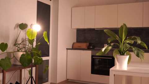 rivagosnell @ chaturbate on 20260220