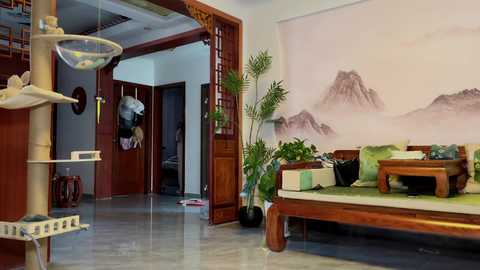 yuanlili @ chaturbate on 20260220