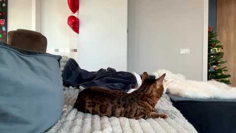 bitter_moon @ chaturbate on 20260221