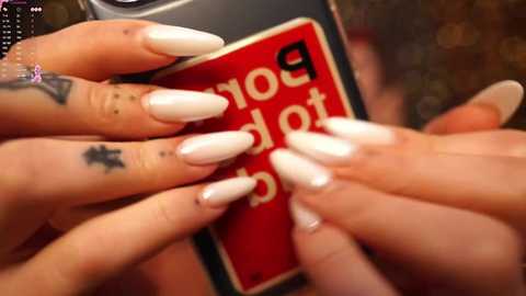 catolinanight @ chaturbate on 20260221