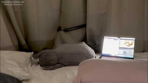 cutieeeeva @ chaturbate on 20260221