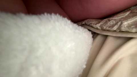 x_dreamgirl_x @ chaturbate on 20260221