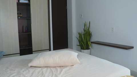 alisaa_01 @ chaturbate on 20260222