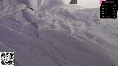 bigorgasm4us @ chaturbate on 20260222