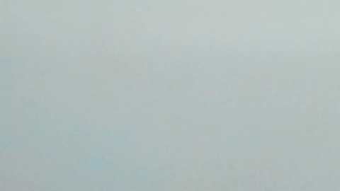 minerva777 @ chaturbate on 20260222