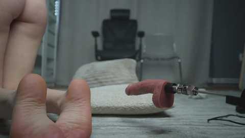 alfafever @ chaturbate on 20260223