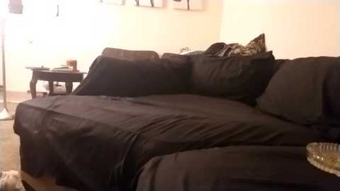 cactusbald817 @ chaturbate on 20260223