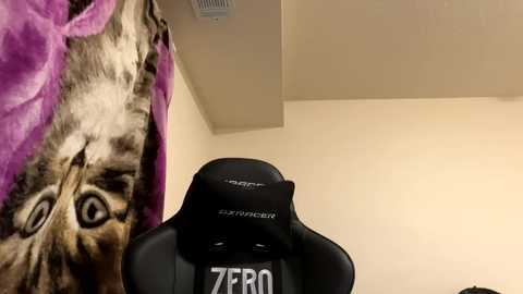 catboy600 @ chaturbate on 20260223