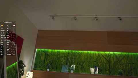 fionawhynot @ chaturbate on 20260223