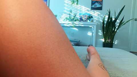 khloeexoxo @ chaturbate on 20260223