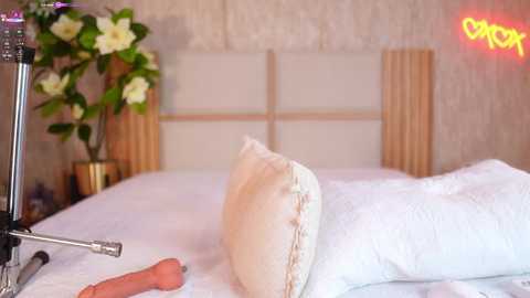 ana_maria11 @ chaturbate on 20260224