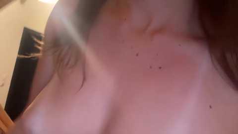 aviebby @ chaturbate on 20260224