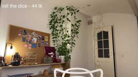 flaming_hotty @ chaturbate on 20260224