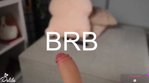 delitevip @ chaturbate on 20260225