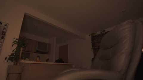 mykinkybunny @ chaturbate on 20260225