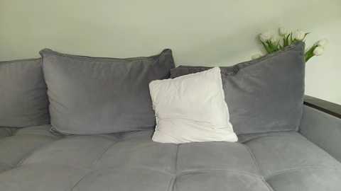 sounbae @ chaturbate on 20260225