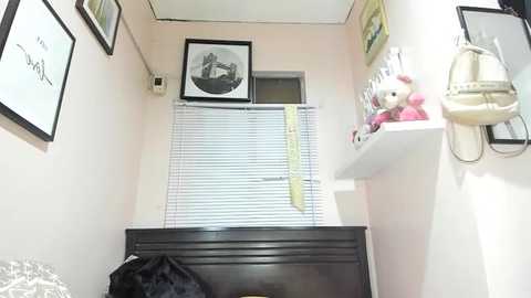 xdreamangel @ chaturbate on 20260225