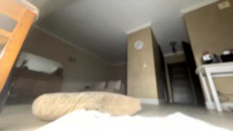 _morpho_ @ chaturbate on 20260226