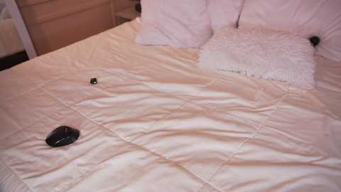 ashley_jones9 @ chaturbate on 20260226