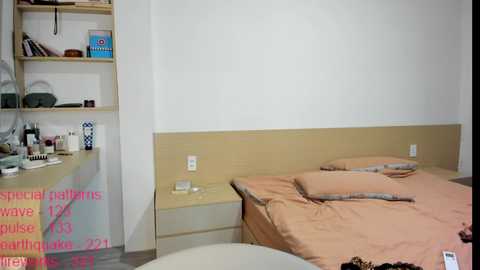 lindamei @ chaturbate on 20260226