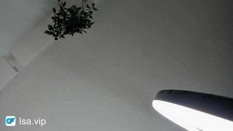 srta_roja @ chaturbate on 20260226