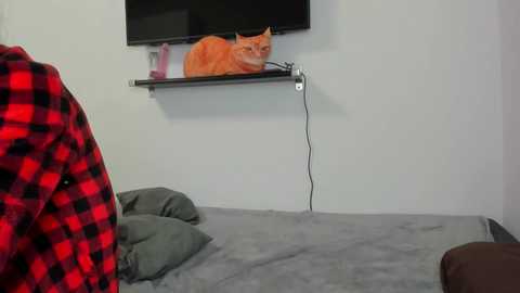 raveneusbiter @ chaturbate on 20260227