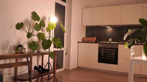 rivagosnell @ chaturbate on 20260227