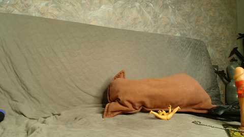 wild_lonely_flower @ chaturbate on 20260227