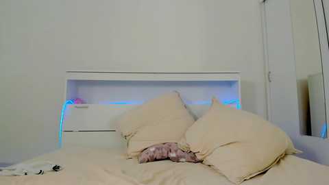 crystalnut @ chaturbate on 20260228