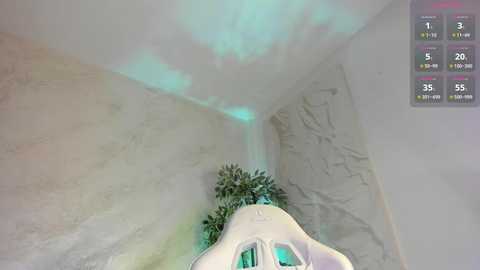 lissababe11 @ chaturbate on 20260301