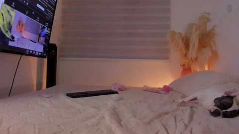 marstone_ @ chaturbate on 20260301