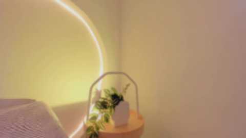 katiepeach_ @ chaturbate on 20260303