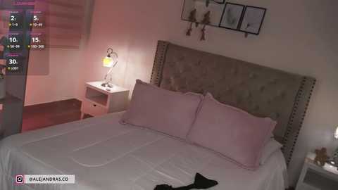 miss_meii @ chaturbate on 20260303