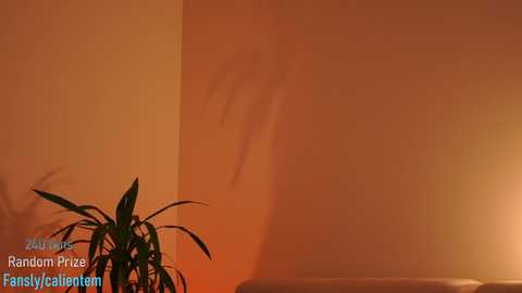 ms_seductive @ chaturbate on 20260303