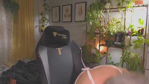 sunnie_dayz @ chaturbate on 20260303