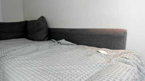 twerking_girl_ @ chaturbate on 20260303