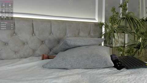 ali_miko_ @ chaturbate on 20260304