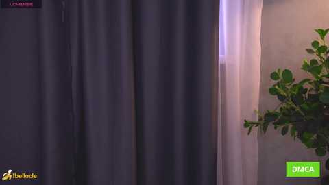 bellacle @ chaturbate on 20260304