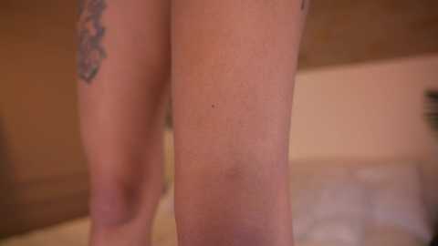 ashley_jones9 @ chaturbate on 20260305