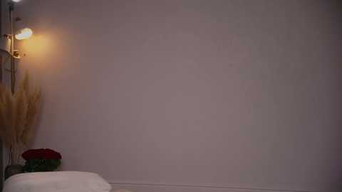 vika54784 @ chaturbate on 20260307