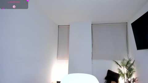 ann__w @ chaturbate on 20260308