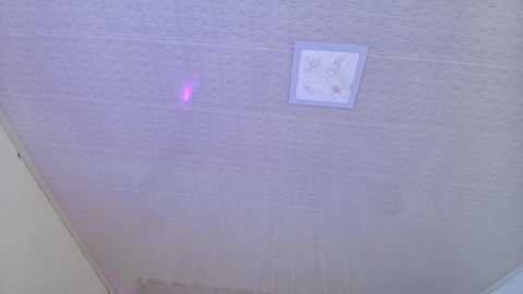 nezo_ @ chaturbate on 20260308