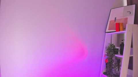 kissiekat @ chaturbate on 20260310