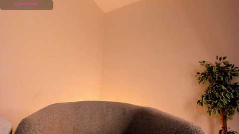 sageplambeck @ chaturbate on 20260310