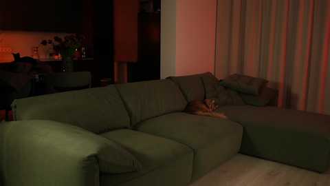 _meganmeow_ @ chaturbate on 20260314