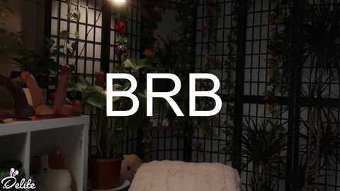 delitevip @ chaturbate on 20260316