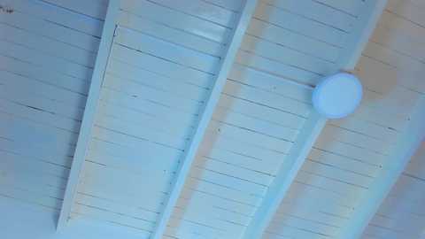 gigi_wilden @ chaturbate on 20260316